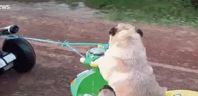 搞笑图片这一家人,穿出了奥数题的层次
