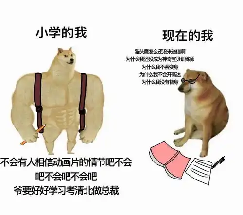 有没有人推荐一下最近很火的两只狗狗的表情包如下图
