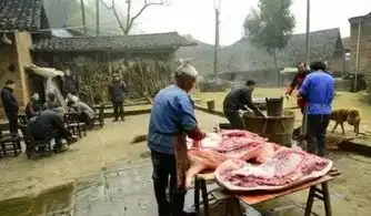 爆笑农村杀猪都出歌了,到底是哪个编的,太有才啦
