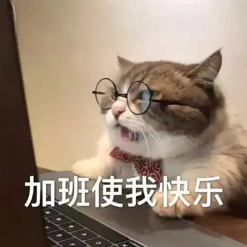 表情包图片熬夜冠军卡,让我睡一晚,这是我用熊猫眼换来的
