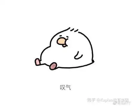zqsg早起是狗,有被饭圈用语搞蒙了