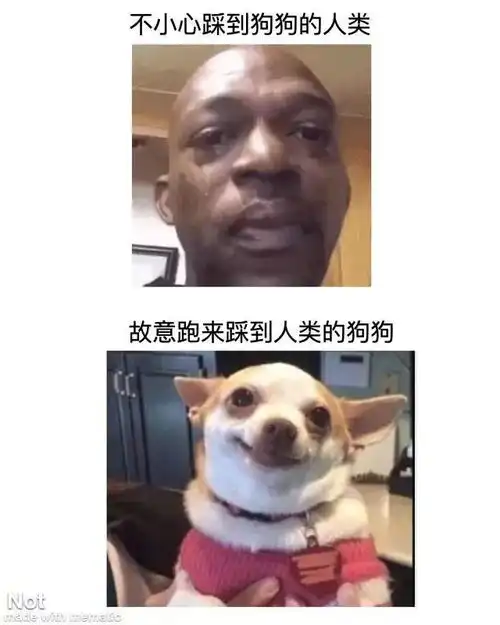 每日吐槽no.131如果明天世界末日你会怎么做
