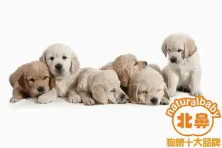 分享,各成长阶段狗狗管理
