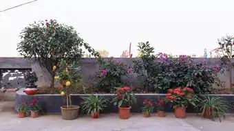 美丽庭院展播我想有个小院子,晒晒温暖小日子
