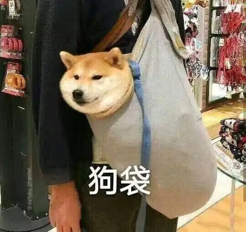 小凌酱的高考指南
