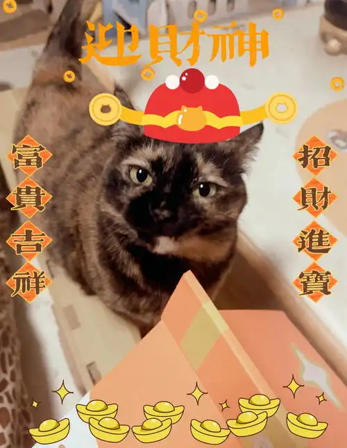 富婆祝大家暴富暴富,一起迎财神
