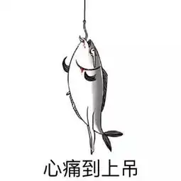 搞笑咸鱼表情包系列表情包,别拦我,我要跳海自杀
