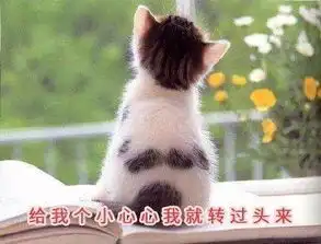 搞笑gif图片笑话段子一个好哥们晚上喝酒回家时,不觉天色已晚...
