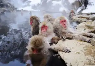 这些地方的温泉你最好绕着走