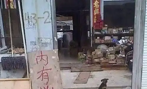 搞笑图片笑话段子你们这些高级白领,放屁都能放出小苹果的韵律
