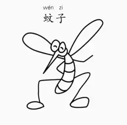 蚊子图片
