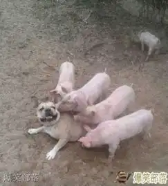 深井冰这样拍照真的好吗
