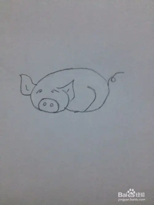 怎么画十二生肖简笔画猪
