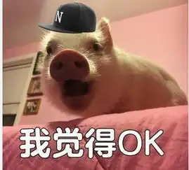 chinajoy上的小姐姐美到开挂,小玫瑰和小仙女都来了
