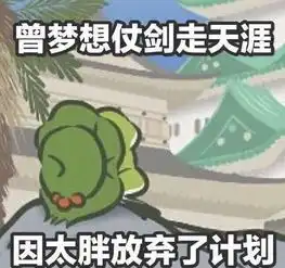奉贤养蛙的老母亲老父亲们注意了大雪暴雪明天夜里到上海
