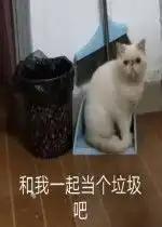 让我吃橘猫表情包好玩吗让我吃橘猫表情包怎么玩用户评论
