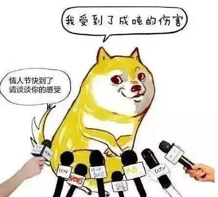 娶妻当娶女博士北大女博士爆笑脱口秀,实力打脸中国式相亲鄙视链
