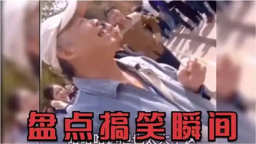 爆笑混剪盘点搞笑瞬间,奈何本人没文化,一句行天下
